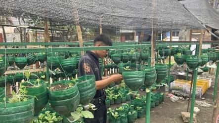 VEGETABLE gardens in Camp Caringal and 16 QCPD stations produced P51,000 worth of fruits and produce.